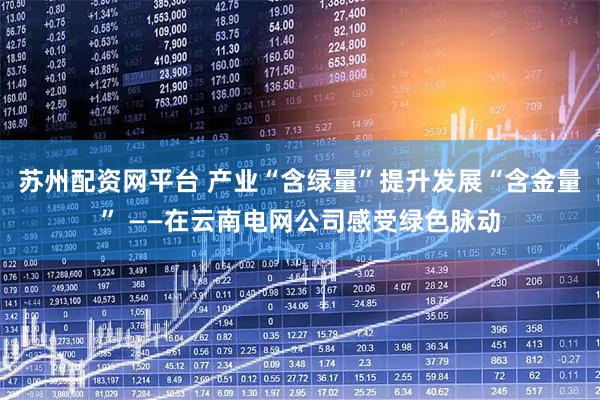 苏州配资网平台 产业“含绿量”提升发展“含金量” ——在云南电网公司感受绿色脉动