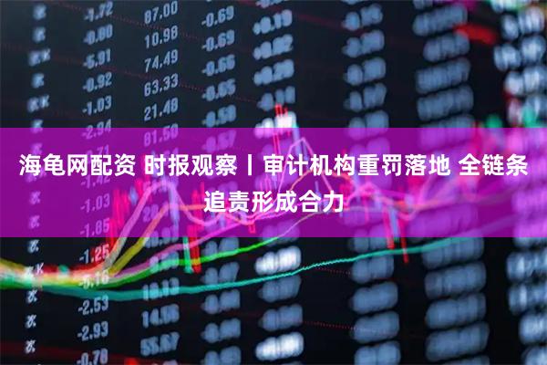 海龟网配资 时报观察丨审计机构重罚落地 全链条追责形成合力