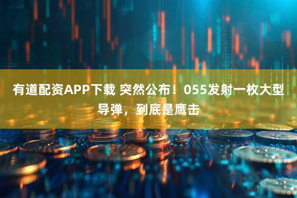 有道配资APP下载 突然公布！055发射一枚大型导弹，到底是鹰击