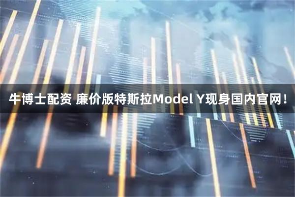 牛博士配资 廉价版特斯拉Model Y现身国内官网！