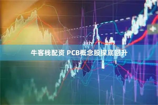 牛客栈配资 PCB概念股探底回升